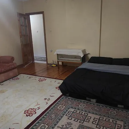 Aydemir House